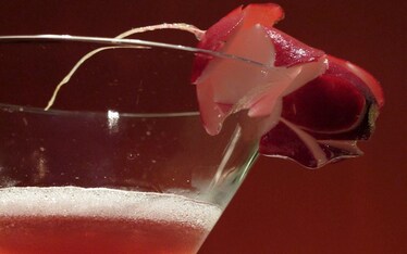 Derive | The Bento Experience