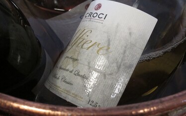 Vinitaly 2012 | Croci