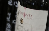 Vinitaly 2012 | Dettori