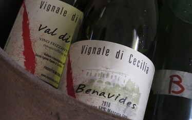 Vinnatur 2012 | Vignale di Cecilia Benavides 2010