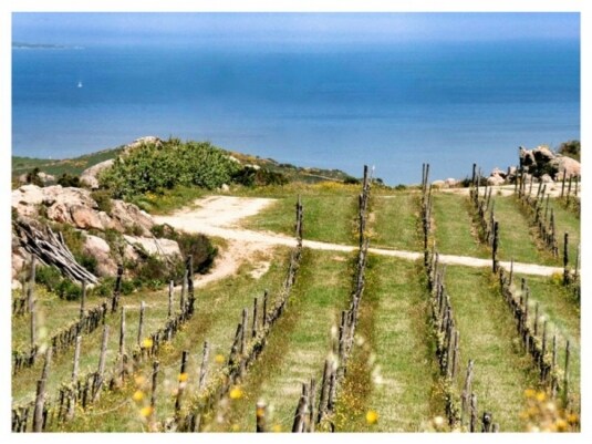 Appunti d'Isola - Matteu