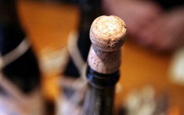 Novellara | Vinix Live! #14