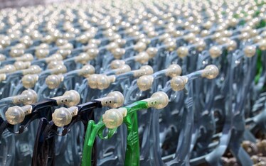 Eataly Roma | <del>Inaugurazione</del> Presentazione, 14 giugno venti-dodici