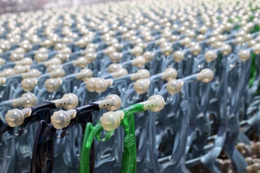 Eataly Roma | <del>Inaugurazione</del> Presentazione, 14 giugno venti-dodici