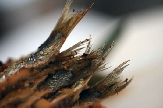 Sono tornato all'EVO e non sono morto