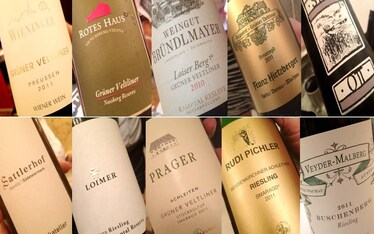 VieVinum| il meglio dei vini bianchi d'Austria in 10 etichette