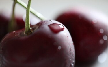 Le Ciliegie - Fondamenti della Conoscenza [part I]