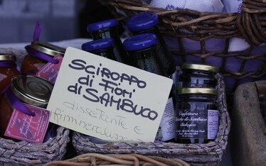 Mercati | Il Mercato della Terra in Bologna