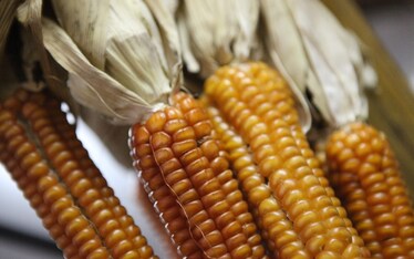 Il Sabato del Villaggio | Il Gusto del Salone