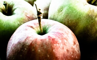 La scuola italiana è alla frutta