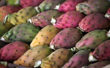 Mercati | Borgo Vecchio a Palermo