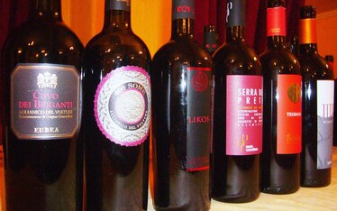 Testimonianze | Il Vulture delle Donne