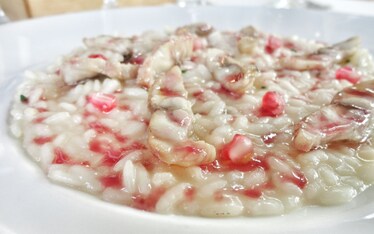 La valle, la cuoca, la Palta