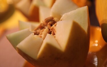 Le immagini del Salone del Gusto