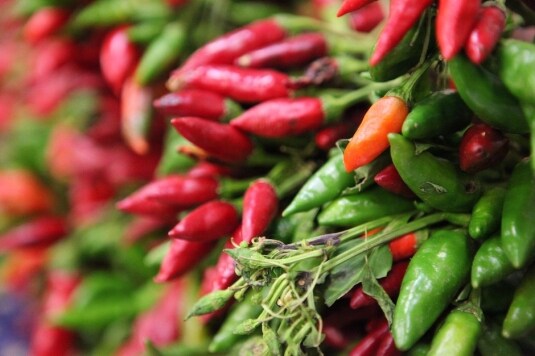 Le immagini del Salone del Gusto