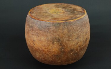 Più carciocacio per tutti