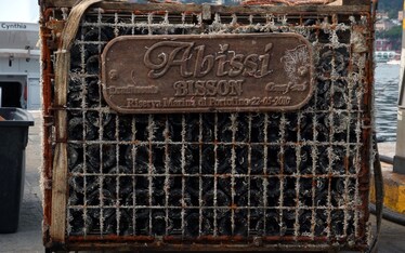 I vini che nascono nel mare