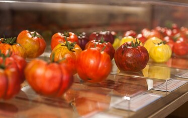 Quattro musei gustosi