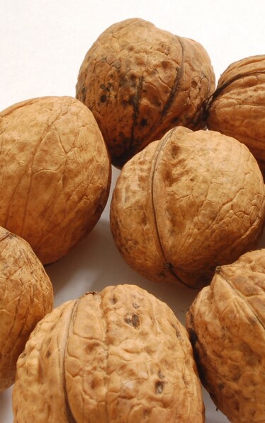 Quattro noci in un sacco