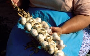 Aglio, col bene che ti voglio