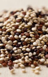 2013 | Anno Internazionale della Quinoa