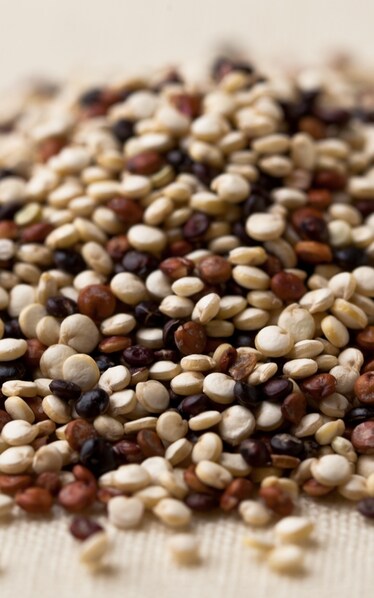 2013 | Anno Internazionale della Quinoa