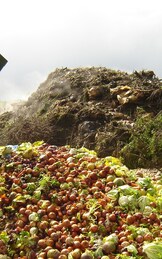 Il cibo non è solo cibo