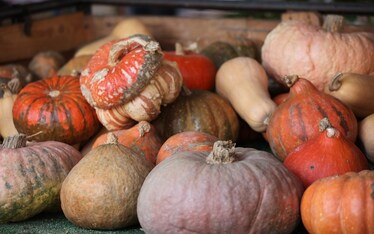 Itinerari | Campo de' Fiori