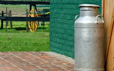 La dura vita del latte crudo