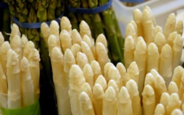 Mai asparagi a febbraio