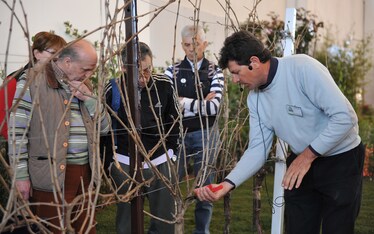 La Campagna che va in Fiera
