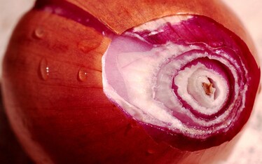 La scalogna di non essere cipolla