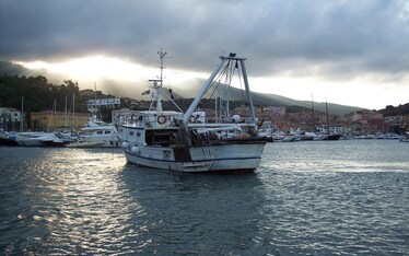 L'Europa alle prese con la pesca intensiva