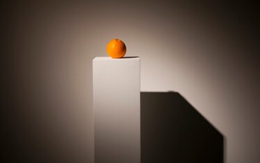 Mart | Progetto Cibo - La Forma del Gusto