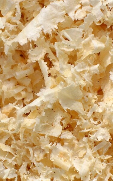 Cellulosa: il cibo del futuro