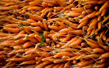 Il bastone e la carota