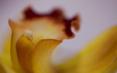 Il Sabato del Villaggio | Se il ristorante non è nel piatto