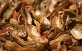 Noccioline che non lo sono: le arachidi