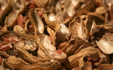 Noccioline che non lo sono: le arachidi