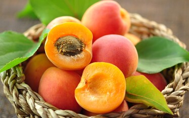 L'eleganza dell'albicocca