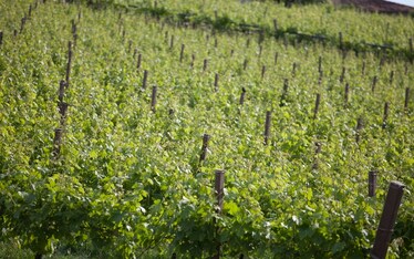 Soave 3D, i colori del Vulcano