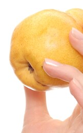 Sogno una carne sintetica