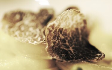 Il Sabato del Villaggio | Sono ciò che mangio