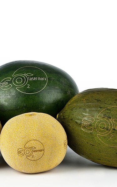 Bollini, ultima frontiera