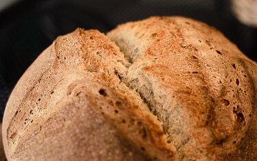 Celiachia: ci salverà il lievito madre