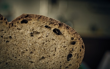 Celiachia e lievito madre: aggiornamenti