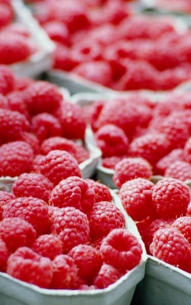 I piccoli frutti del bosco