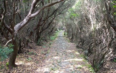 Itinerari | Capraia