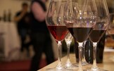 Vino, e non sai cosa bevi