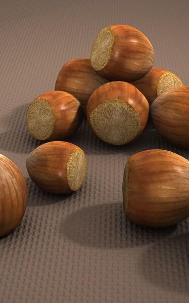 La nocciola, un frutto tondo e gentile